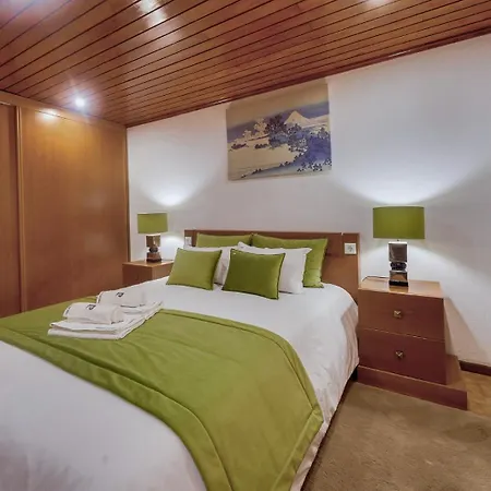 公寓 Casal Espincho - Castelo De Paiva, Sao Martinho De Sardoura 派瓦堡